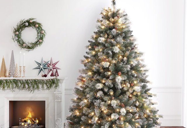 Our Best Frosted Christmas Trees